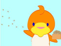 いり豆