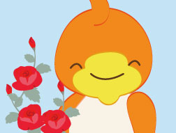 バラ