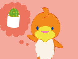 サボテン