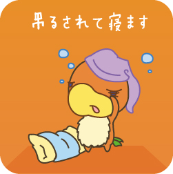 吊るされて寝ます